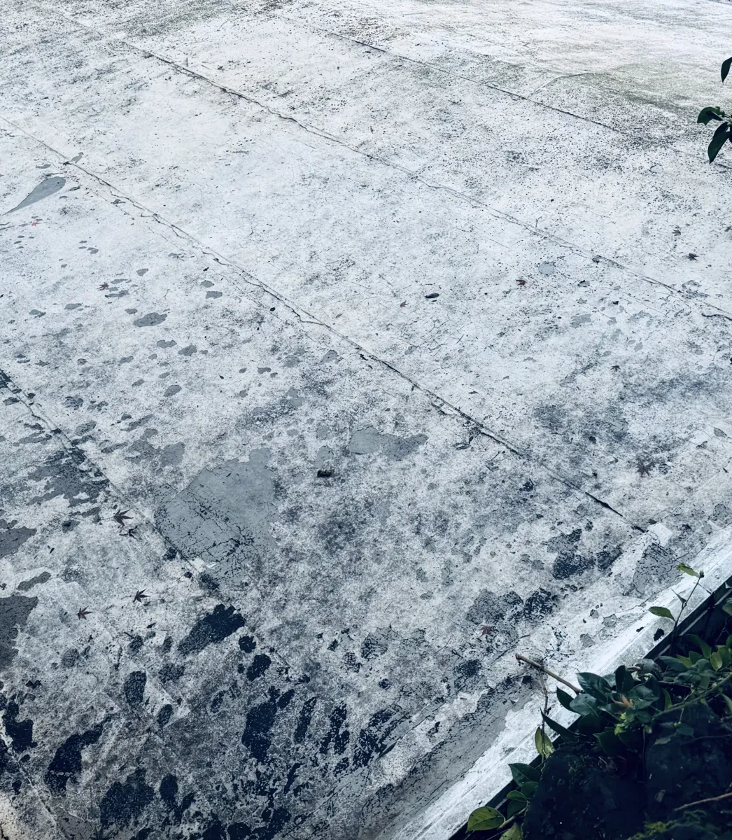 A flat roof with a worn white coating, dark patches and visible seams