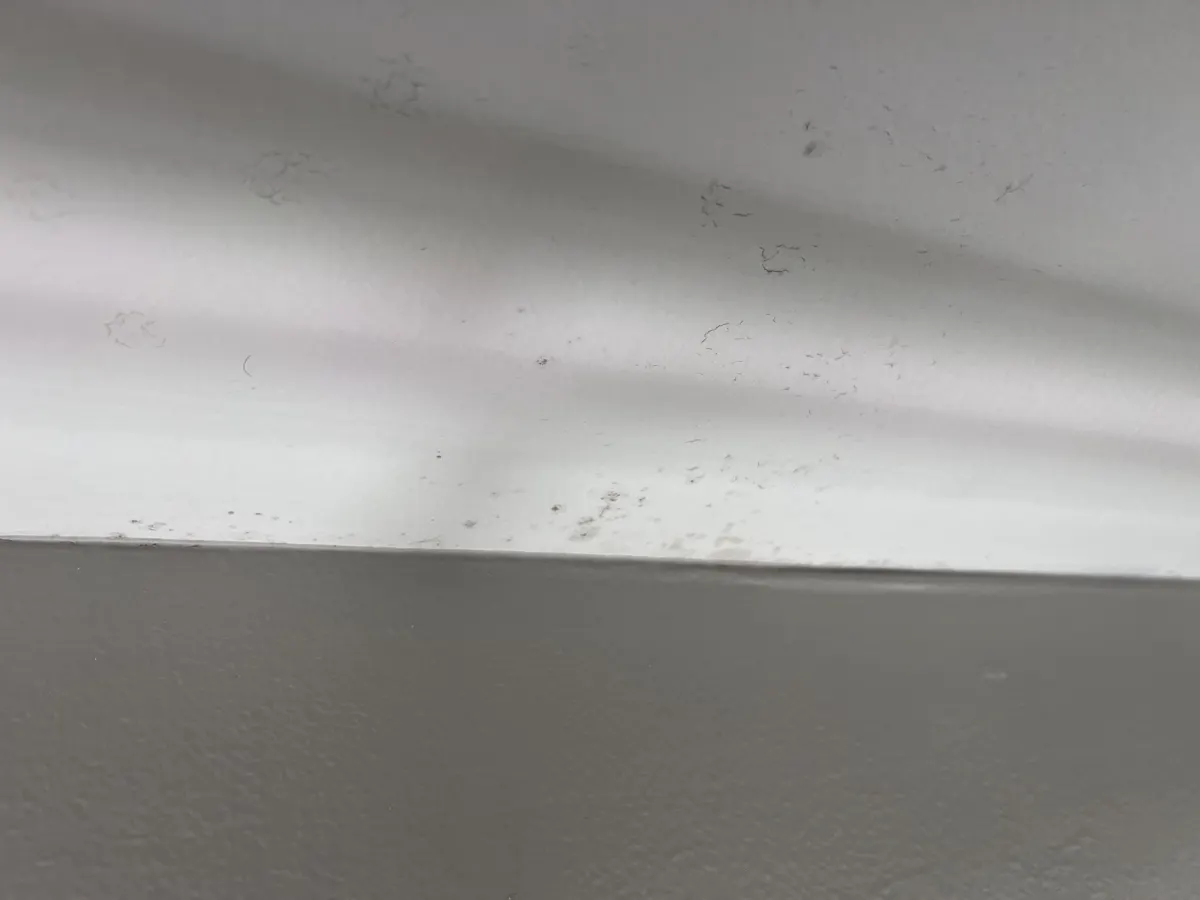 Dark mold spots on the ceiling above a window