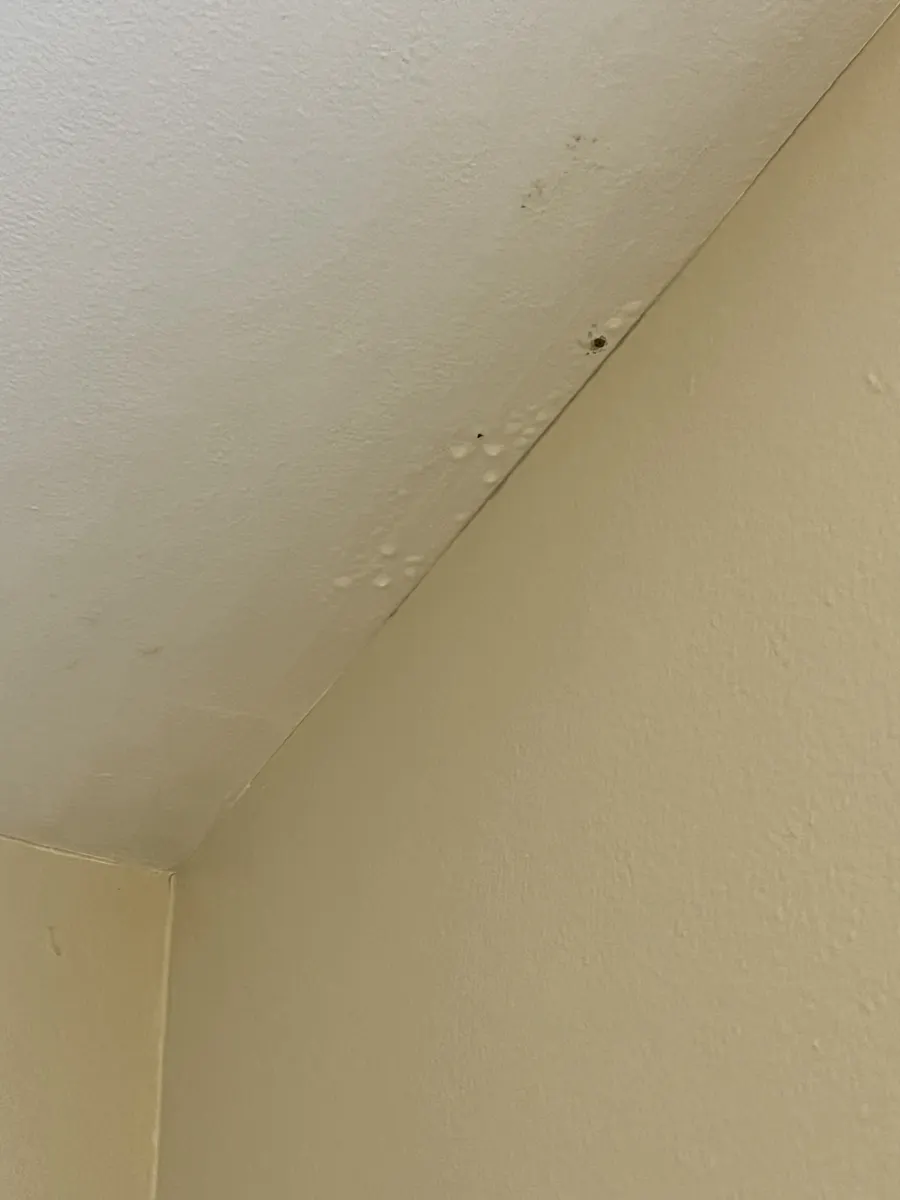 Small bubbles in the paint on a sloped ceiling