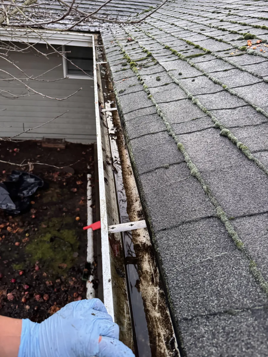 A gloved hand clearing a gutter packed with moss and debris