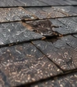 Worn, damaged roof shingles