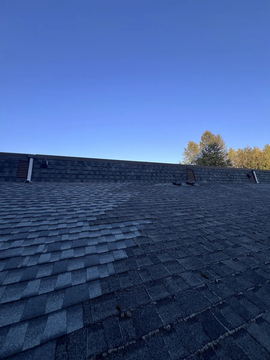Asphalt shingle roof with lighter new shingles on the left and darker older shingles with moss along the rows on the right