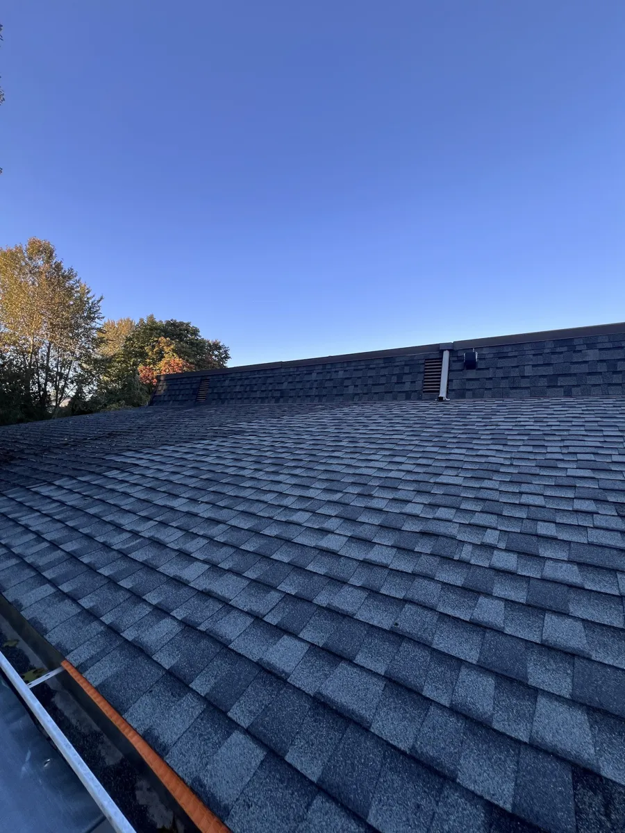 A slope of newer asphalt shingles above the gutter